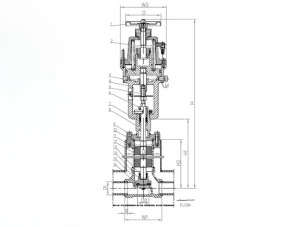 DZQ-50K1 Клапан запорный криогенный в вакуумной рубашке